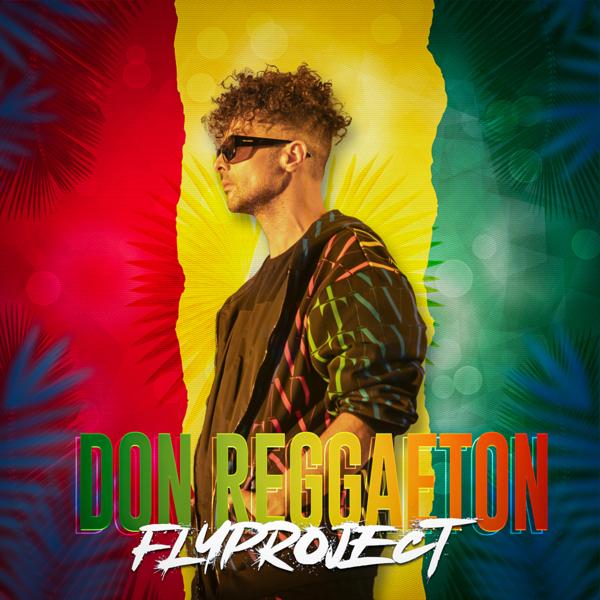 Альбом Don Reggaeton исполнителя Fly Project