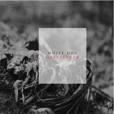 White D.