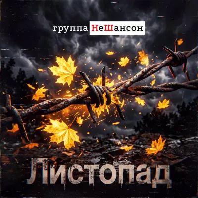 Группа НеШансон