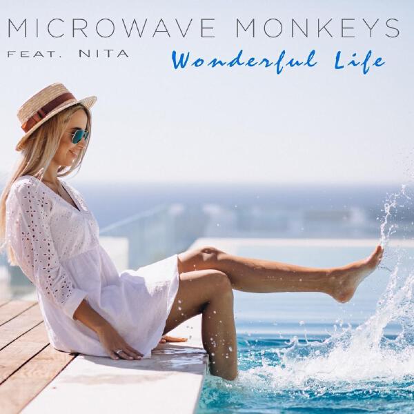 Microwave Monkeys
