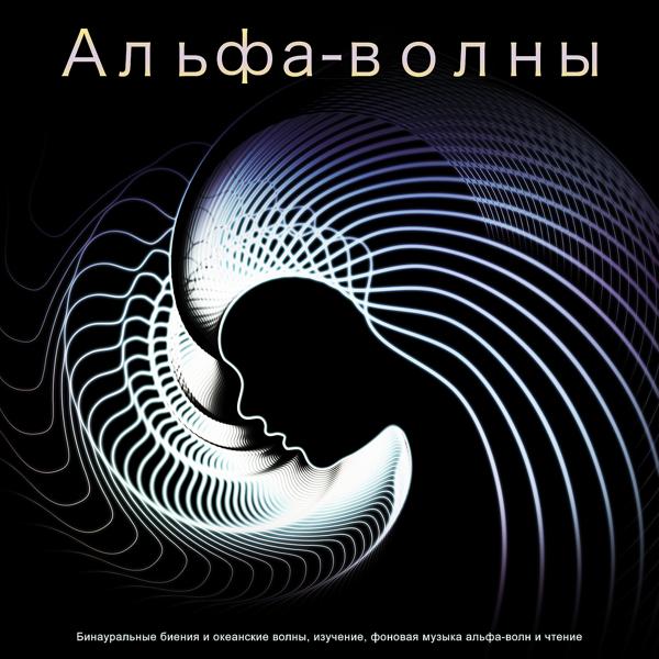 Концентрация все песни в mp3