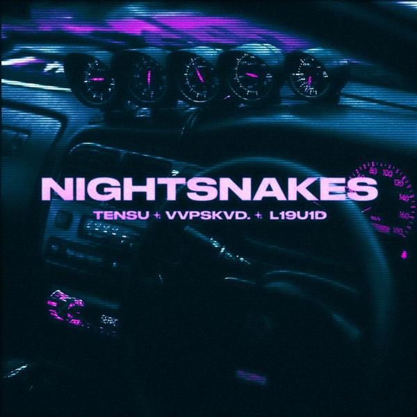 TENSU, vvpskvd., L19U1D - NIGHTSNAKES