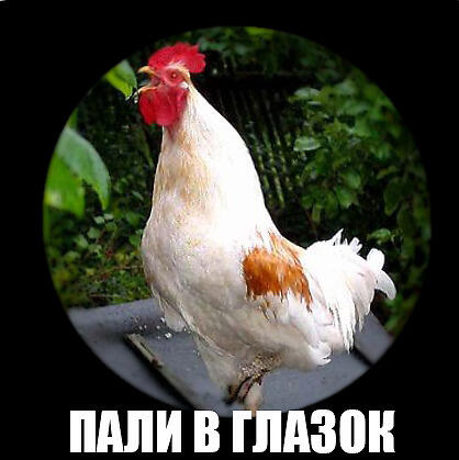 Кто Там?