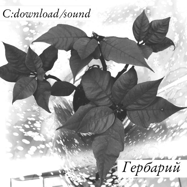 C:Download