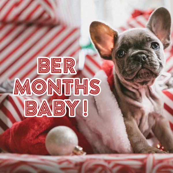 Альбом Ber Months Baby! исполнителя Various Artists