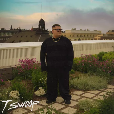 T Swoop все песни в mp3