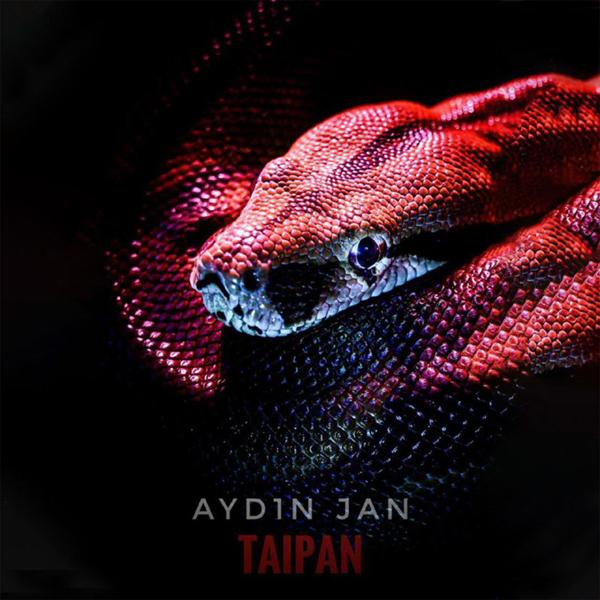 Альбом TAIPAN исполнителя AYD1N JAN