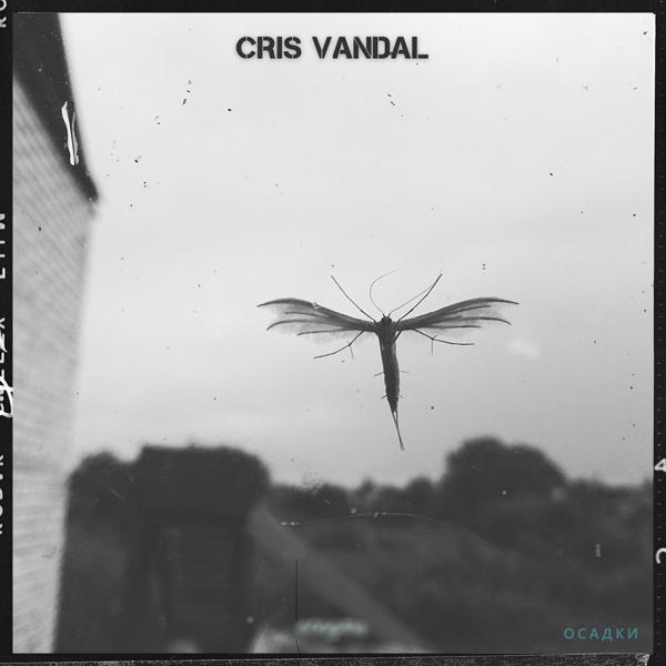Cris Vandal