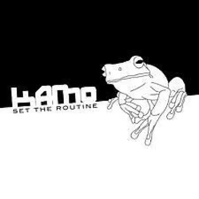 Kamo