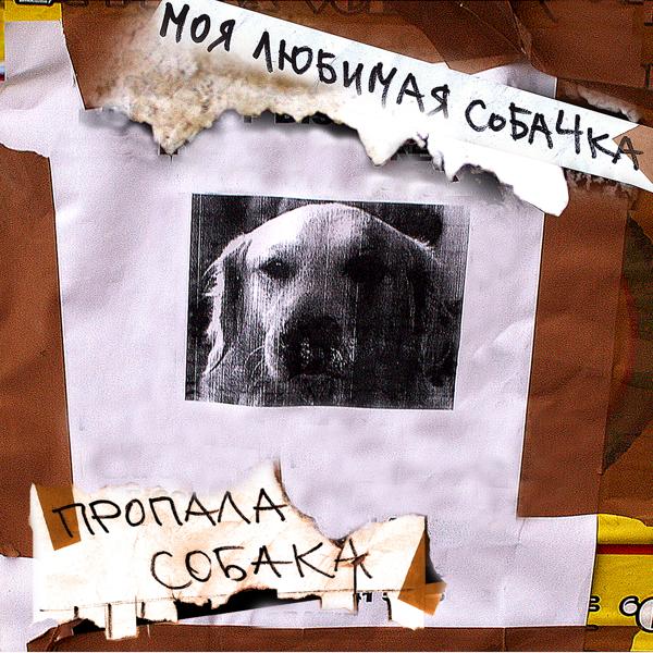Пропала собака