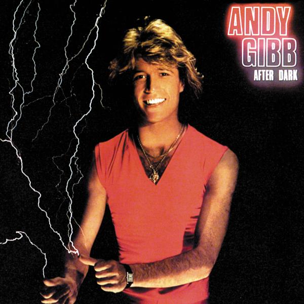 Andy Gibb - After Dark