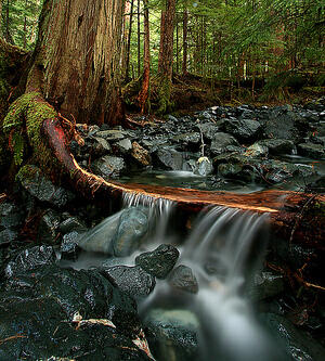 Sounds of the Earth