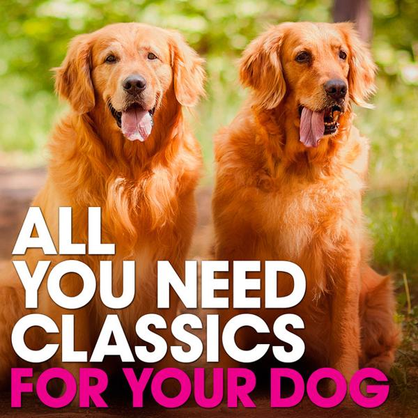 Альбом All You Need Classics: For Your Dog исполнителя Various Artists