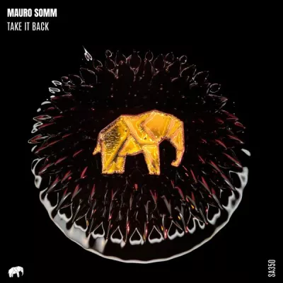 Mauro Somm