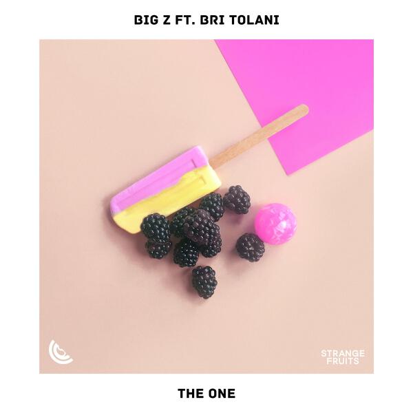 Bri Tolani все песни в mp3