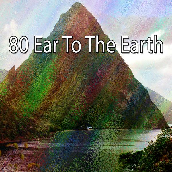 80 Ear To The Earth (Ухо к Земле)