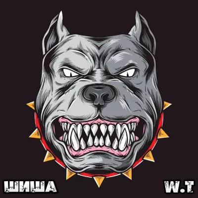 Шиша