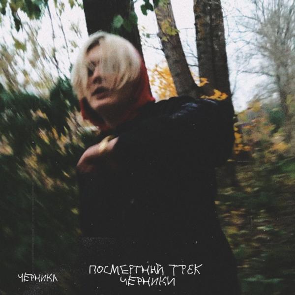 Черника - Остановка