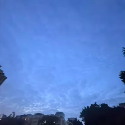 法laidyao