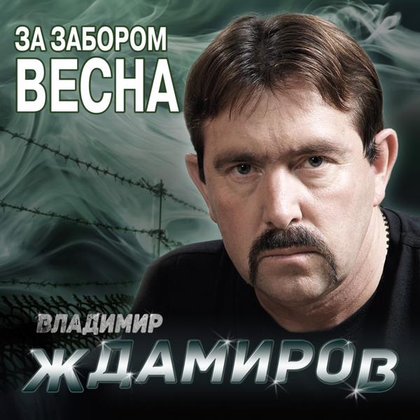 Владимир Ждамиров - Академия