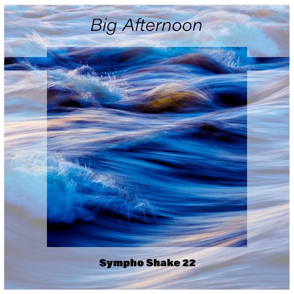 Альбом Big Afternoon Sympho Shake 22 исполнителя Various Artists