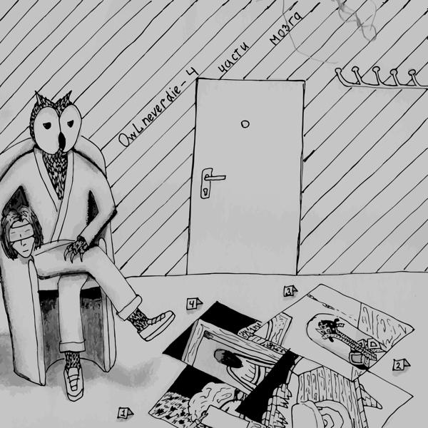 Альбом 4 части мозга исполнителя owlneverdie