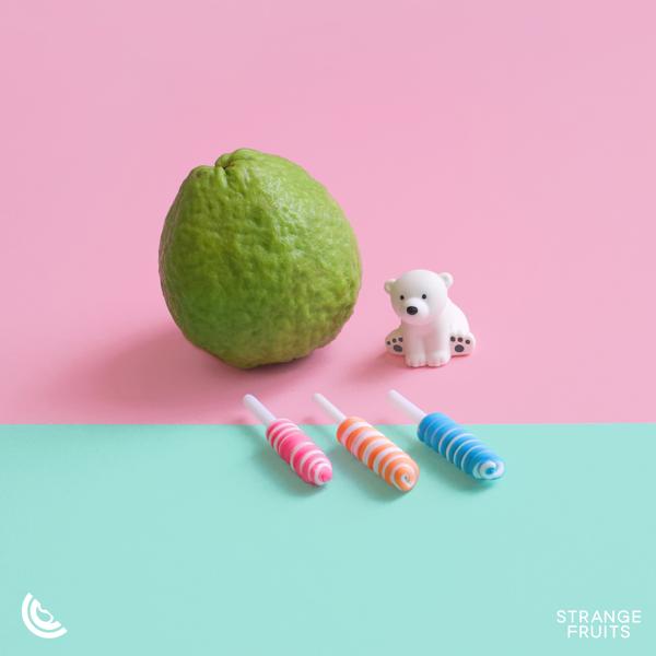 Dance Fruits Music - Everything I Wanted