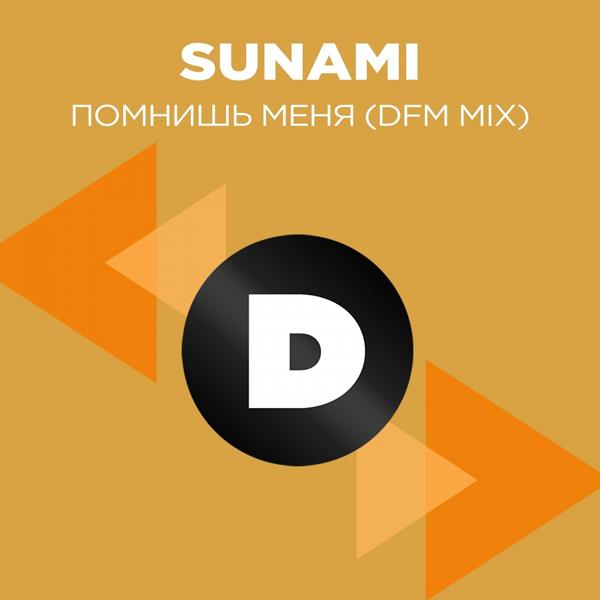 Sunami - Помнишь меня (DFM Mix)