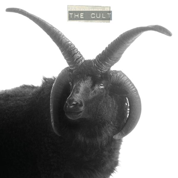 The Cult - Star