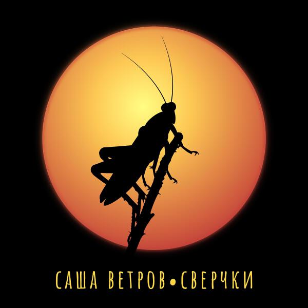Саша Ветров все песни в mp3