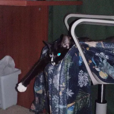 ПОТОМКИ