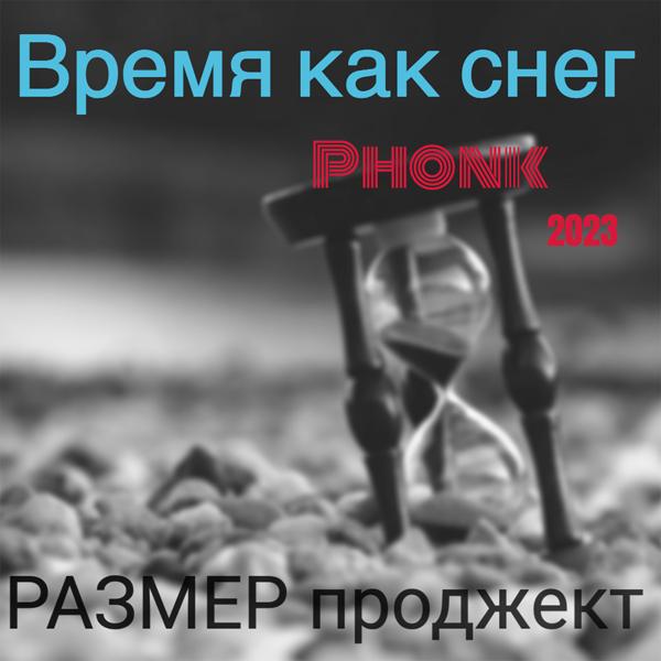 Размер Проджект - Время как снег (Phonk Remix)