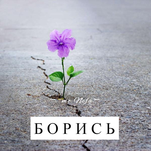 mc Nefa все песни в mp3