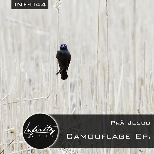 Альбом Camouflage исполнителя Pra Jescu