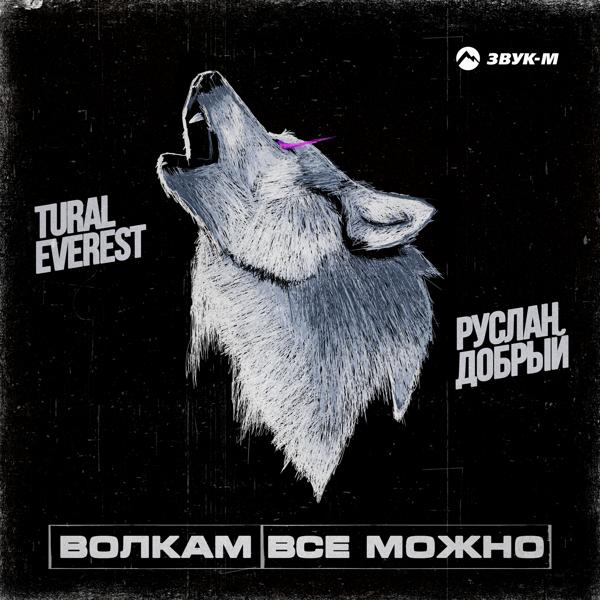 Альбом Волкам всё можно исполнителя Руслан Добрый, TURAL EVEREST