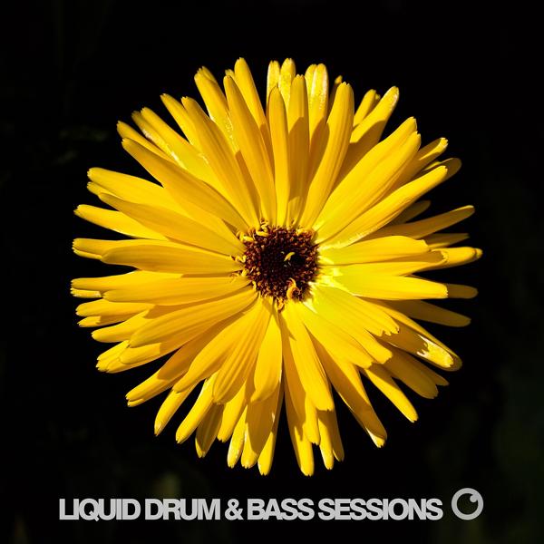 Anthony Kasper, Velocity, Becca Jane Grey - Love Me