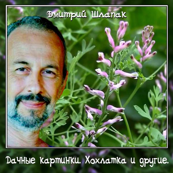 Дачные картинки. Хохлатка и другие.