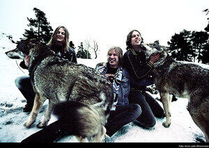 Wolf