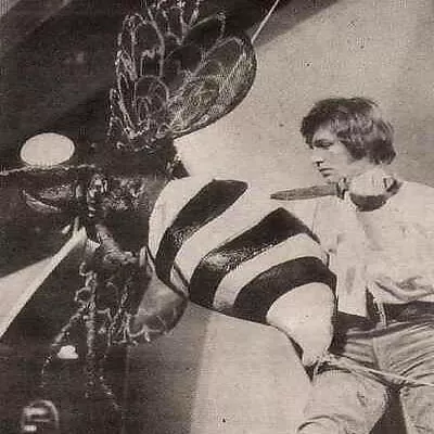 Mike D'Abo