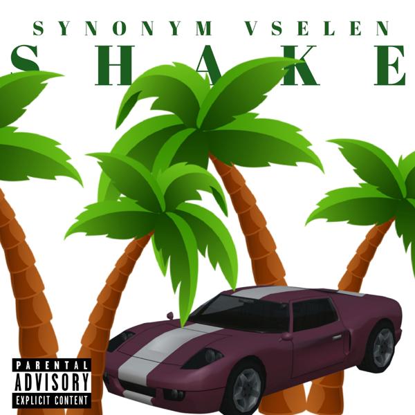 VSELEN все песни в mp3