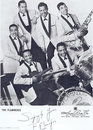 The Flamingos
