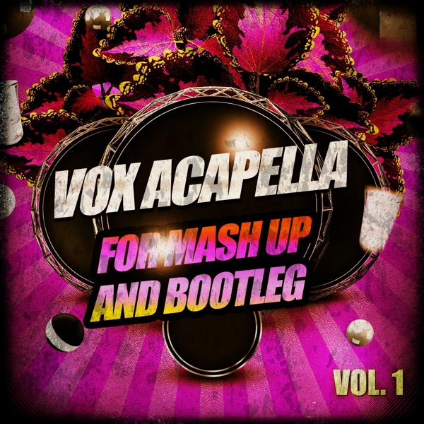 Альбом Vox Acapella for Mash up and Bootleg, Vol. 1 исполнителя Various Artists