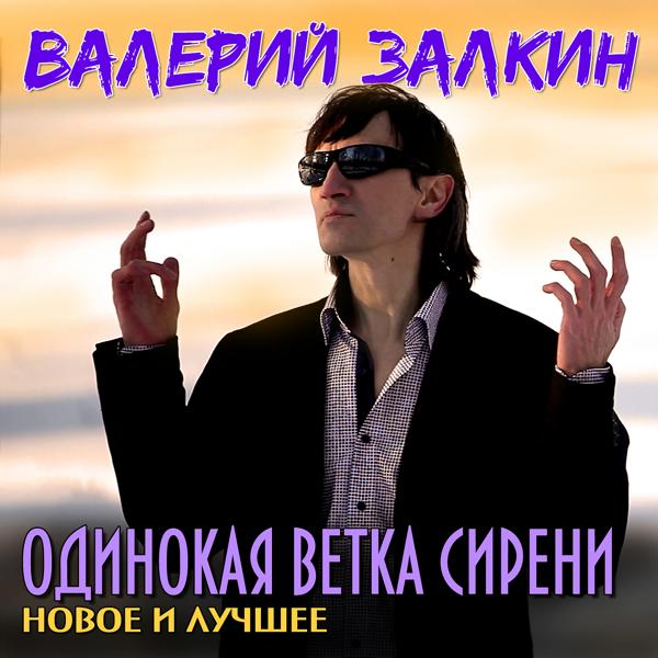 Валерий Залкин - Последний раз