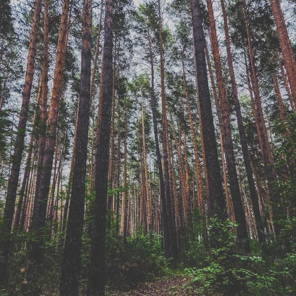 antichrizzzt - Боже, как же ты красива