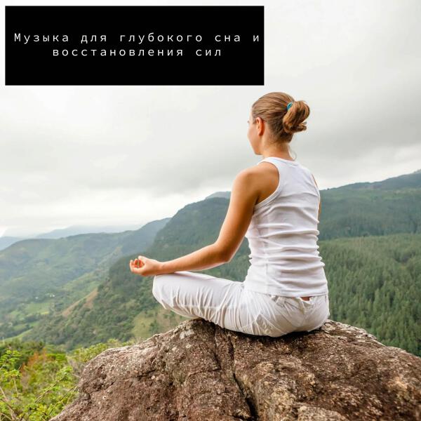 Zen Meditate