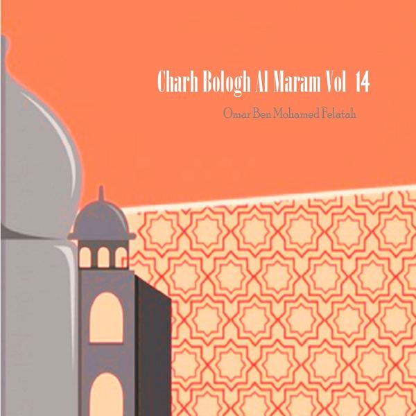 Charh Bologh Al Maram Vol 14