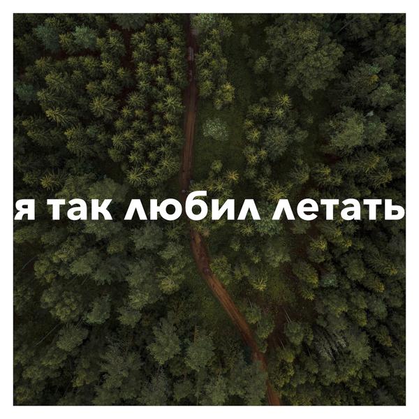 я так любил летать