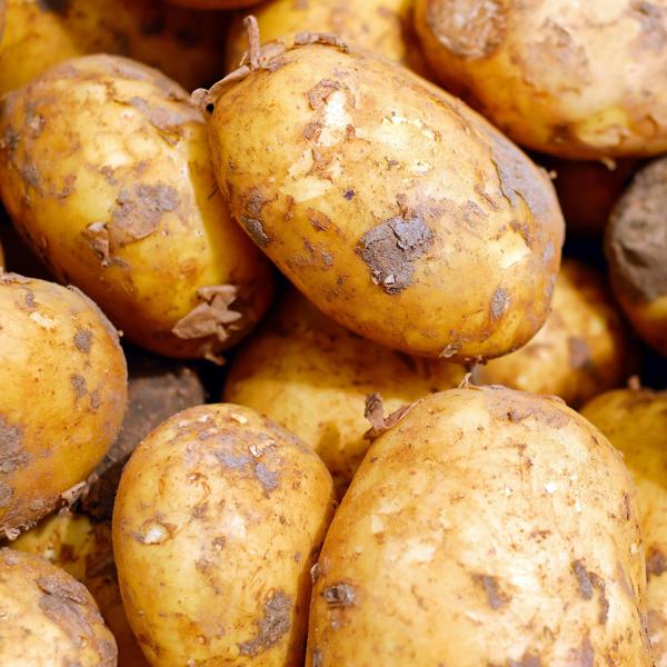 Альбом Картошка исполнителя SATURN Music