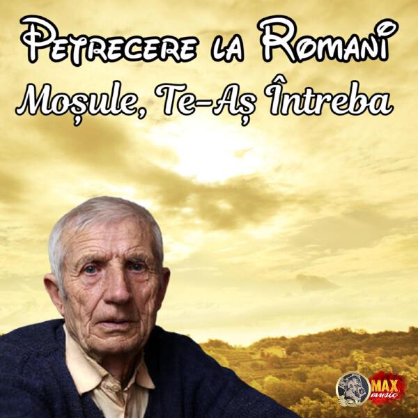 Petrecere la Romani все песни в mp3