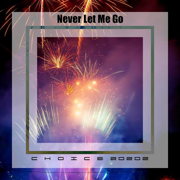 Альбом Never let me go choice 20202 исполнителя Various Artists